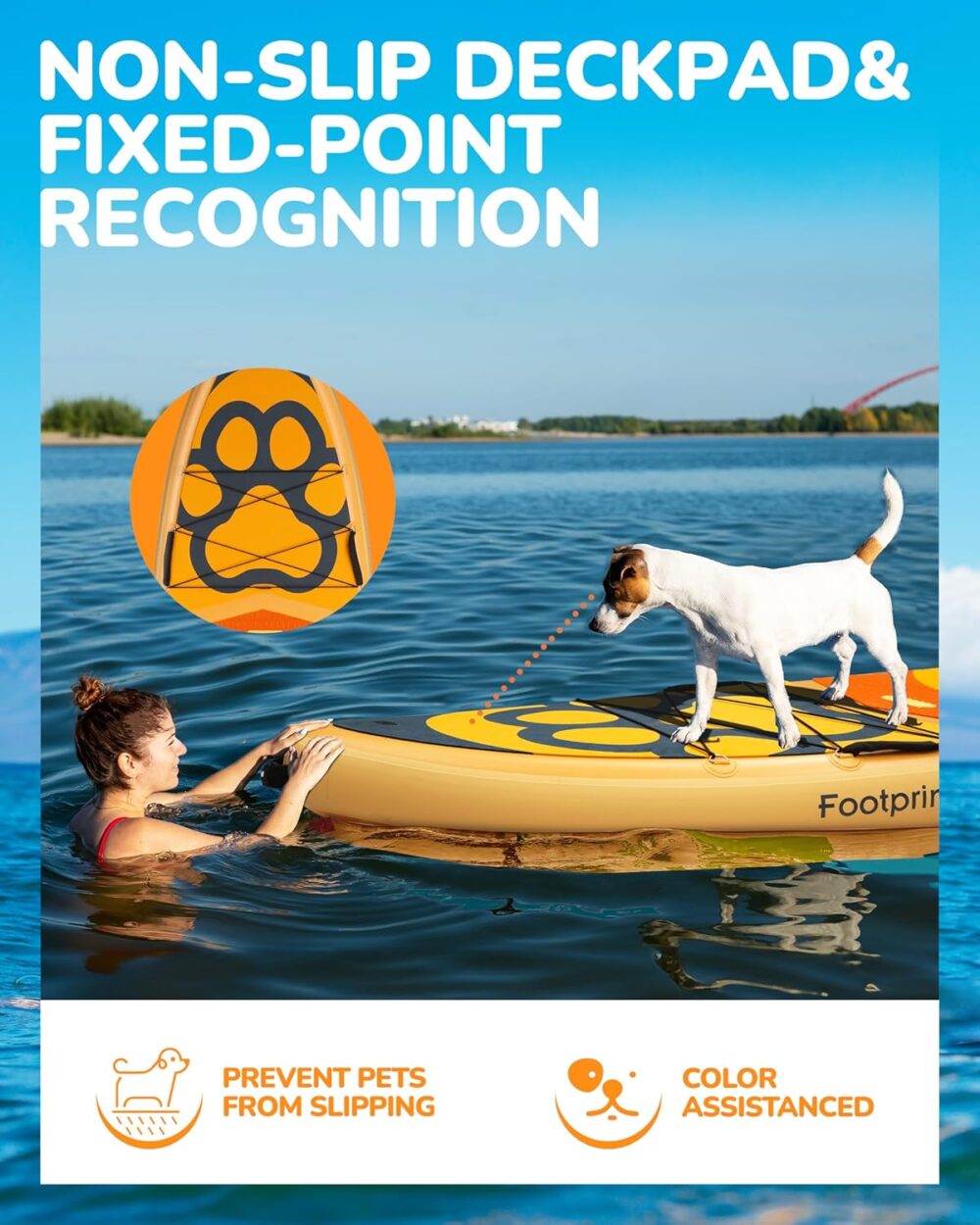 پدل برد بیگ فلای BIGFLY مدل ORANGE PET - تصویر 5