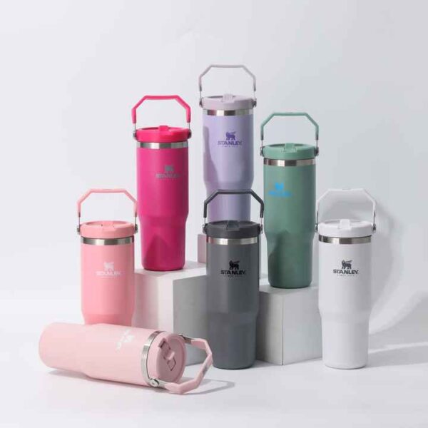 انواع ماگ استنلی