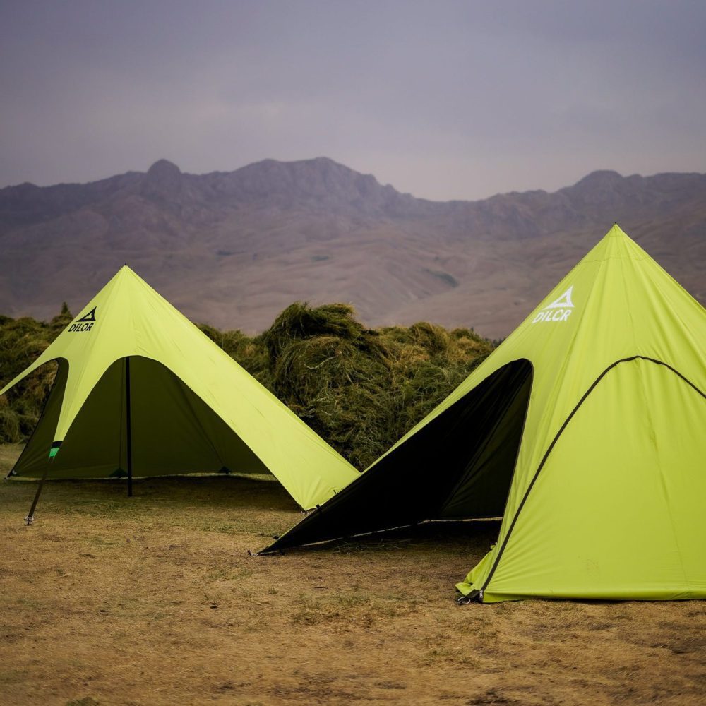 مینی استارتنت پرو دیلور 2025 - تصویر 4