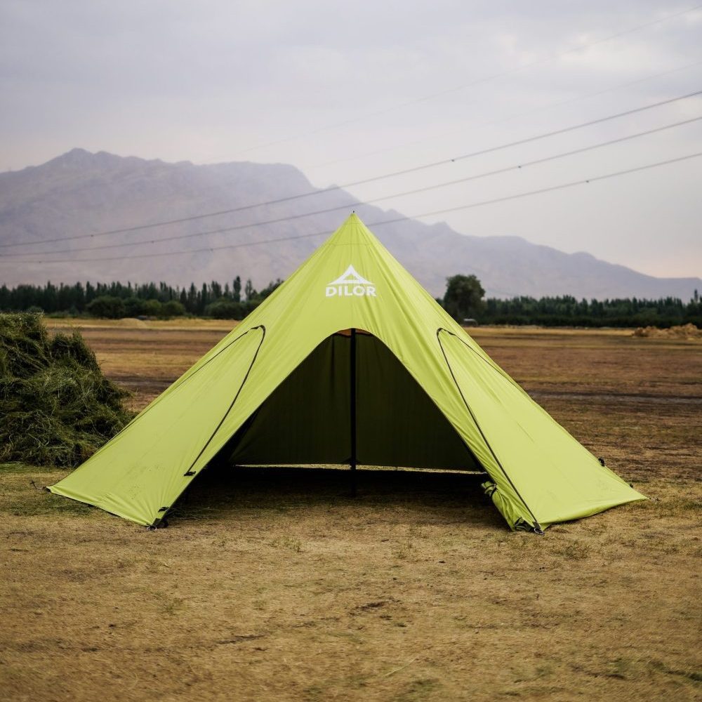 مینی استارتنت پرو دیلور 2025